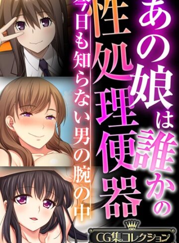 【大人のSEXY絵本】あの娘は誰かの性処理便器 〜今日も知らない男の腕の中〜【CG集コレクションBIG】❤単行本