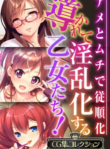 【大人のSEXY絵本】導かれて淫乱化する乙女たち！〜アメとムチで従順化〜【CG集コレクションBIG】❤単行本